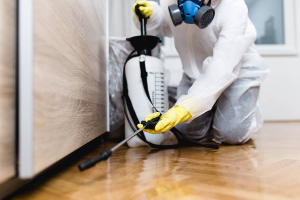 Best Affordable Pest Control Services  in Farngton, MI