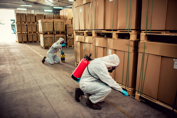 Best Wasp Removal Services  in Farngton, MI
