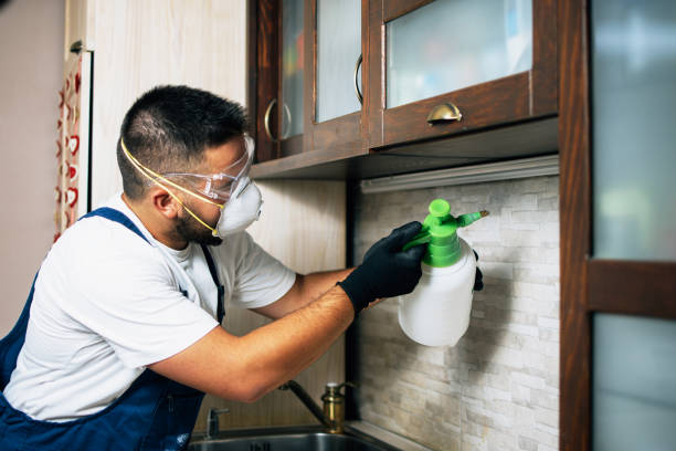 Best Mosquito Control Services  in Farngton, MI
