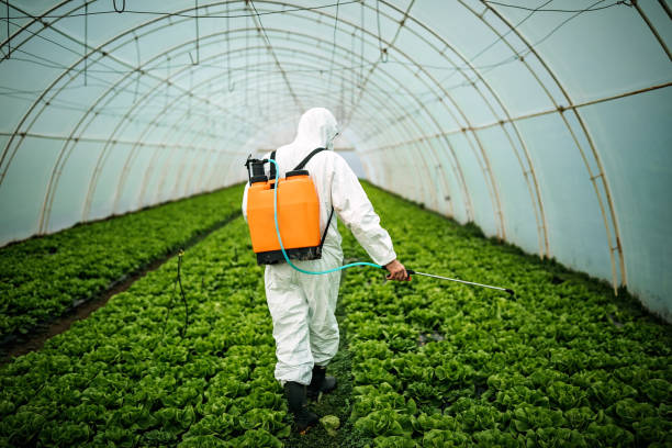 Best Ant Control Services  in Farngton, MI