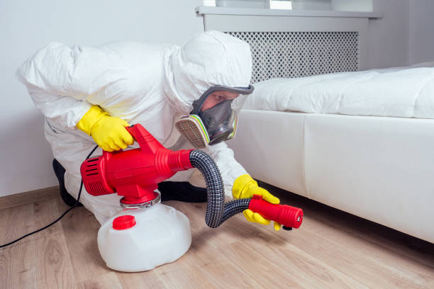 Best Affordable Pest Control Services  in Farngton, MI