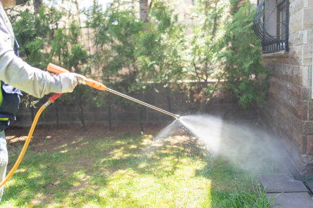 Best Affordable Pest Control Services  in Farngton, MI