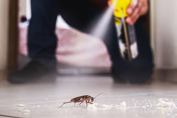 Best Pest Control Near Me  in Farngton, MI