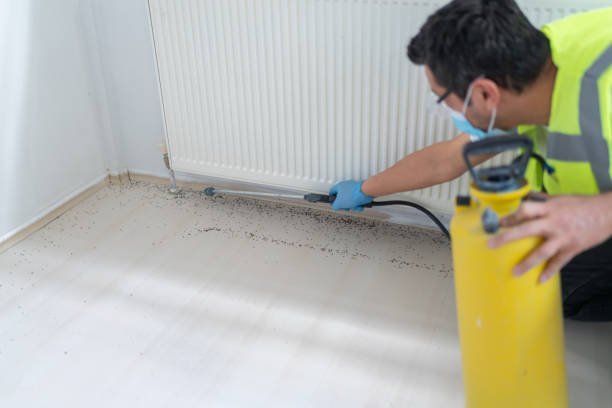 Best Best Pest Control Companies  in Farngton, MI