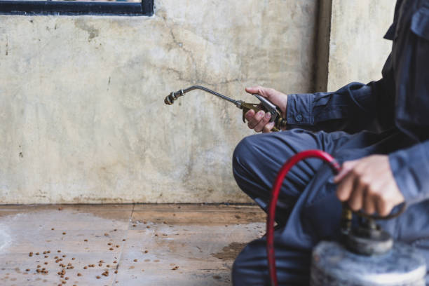 Best Flea Control Services  in Farngton, MI