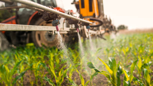 Best Pest Removal Services  in Farngton, MI