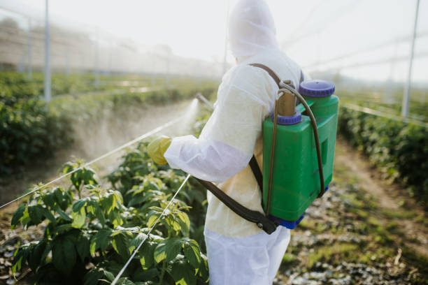 Best Pest Inspection Near Me  in Farngton, MI